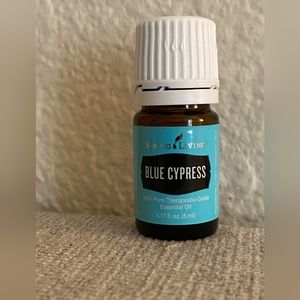 YL Blue Cypress